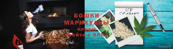 ПСИЛОЦИБИНОВЫЕ ГРИБЫ Михайловка