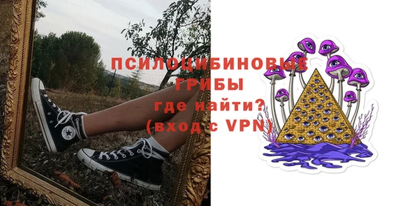 ПСИЛОЦИБИНОВЫЕ ГРИБЫ Михайловка